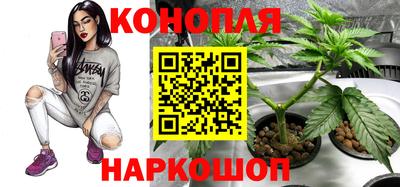 ПСИЛОЦИБИНОВЫЕ ГРИБЫ Апрелевка