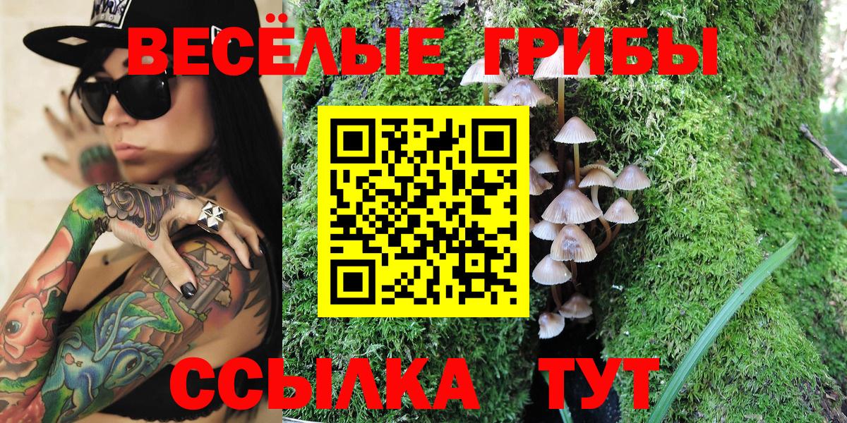 Псилоцибиновые грибы мицелий Бузулук