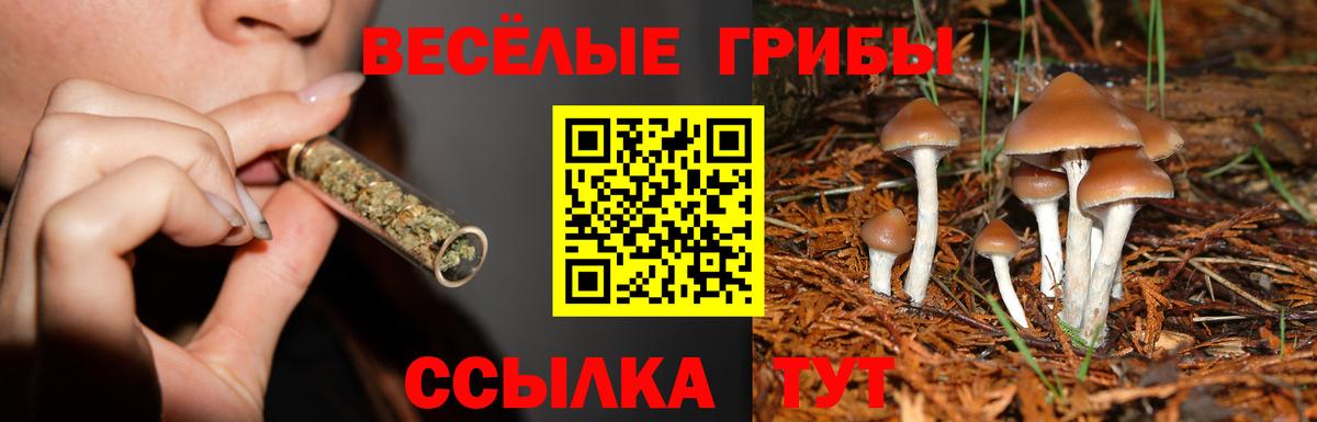 Псилоцибиновые грибы GOLDEN TEACHER  Вход с VPN  как найти закладки  Бузулук 